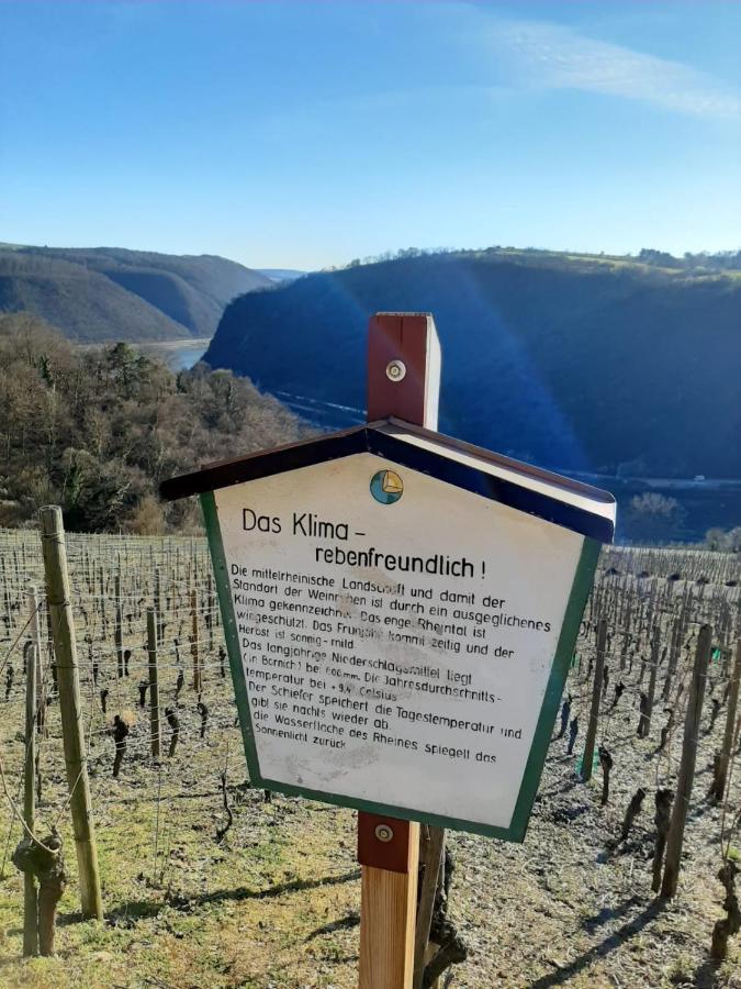 Auszeit Rheingauer Rosengasse Lejlighed Johannisberg Eksteriør billede